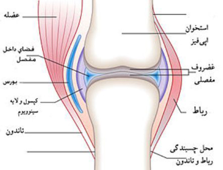 دانلود پاورپوینت مفصل و انواع مشکلات و بیماری های مفصل