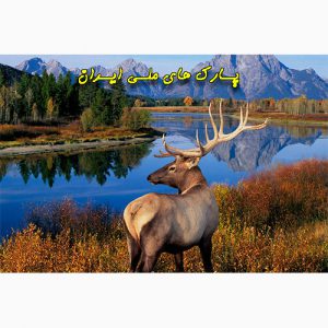 دانلود شیپ فایل پارک های ملی ایران