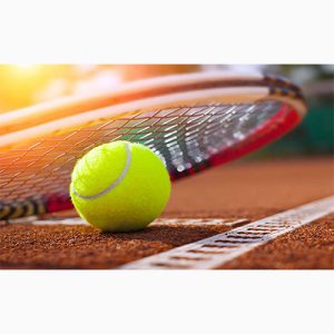 دانلود پاورپوینت در مورد تاریخچه و قوانین تنیس خاکی