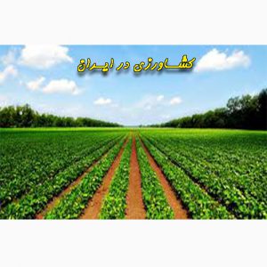 تحقیق در مورد وضعیت کشاورزی در ایران