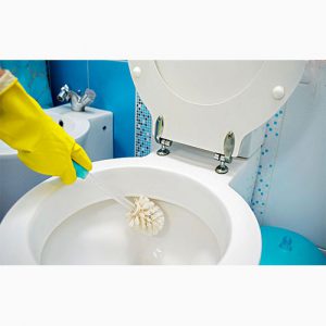 دانلود فرمول تولید ضد عفونی کننده توالت