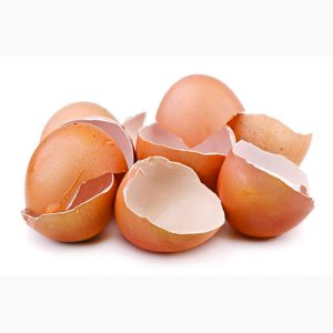 دانلود فرمول تولید شوینده پوسته تخم مرغ