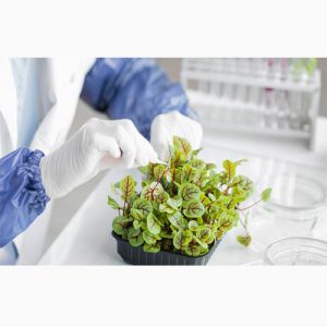 دانلود تحقیق در مورد بررسی مبارزه بیولوژیکی در بیماری زایی گیاهان زینتی