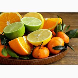 دانلود طرح توجیهی احداث باغ پرتقال، نارنگی و لیمو شیرین
